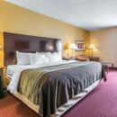 Quality Inn - Motels