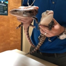 Allphin Veterinary Clinic - Veterinarians