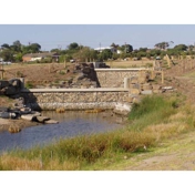 Gallery Image Number 6
