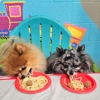Koda's Playhouse gallery