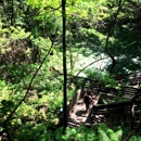 Devil's Millhopper Geological State Park - Places Of Interest