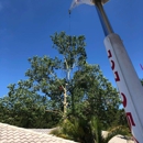 Jerry Riggers Crane and Tree - Tree Service