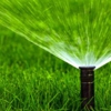 Colorado Lawn Guys gallery