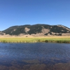 National Elk Refuge gallery