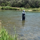 Reel Good Fishing