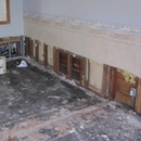 SERVPRO of Great Neck / Port Washington - Mold Remediation