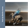 Equine Instincts gallery