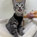 VCA Aventura Animal Hospital & Pet Resort - Pet Services