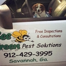 Bee Green Pest Solutions-Pest Control - Pest Control Services