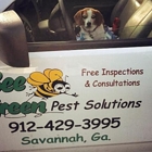 Bee Green Pest Solutions-Pest Control