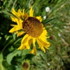 Cape Blanco State Park gallery