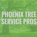 Phoenix Tree Service Pros - Tree Service