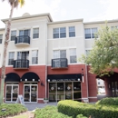 100% Chiropractic - Tampa - Medical Clinics