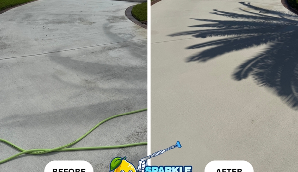 Sparkle Tech Pressure Washing - Palm Coast, FL. Soft washed painted driveway in Palm Coast, brought the color out again. If you'd like a quote call/text 38