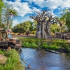 Kilimanjaro Safaris gallery