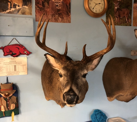 Quiles Taxidermy - Staunton, IN