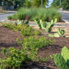 Maldonado Nursery & Landscaping, Inc. gallery