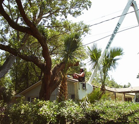 Totally Trees - Pensacola, FL