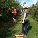 Mackintosh Fruit Farm - Farms