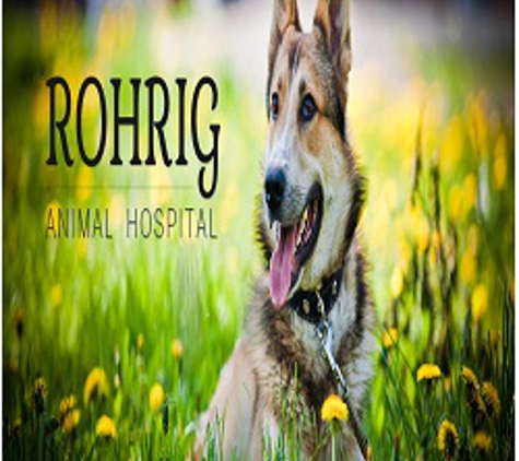 Rohrig Animal Hospital - Arlington, NE