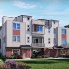 Vive on Via Varra: The Apex Collection by Meritage Homes