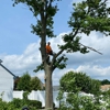 Munz's Landscaping & Construction gallery
