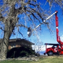 Schra Tree Care - Tree Service