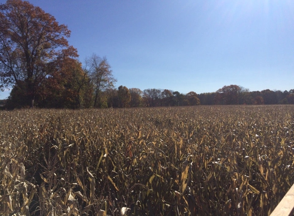 Preston Farms Corn Maze - Preston, CT