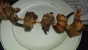 Cajun Craven - Seafood Restaurants