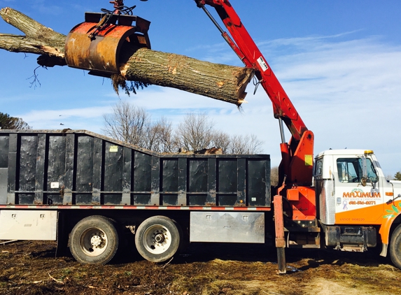 Maximum Tree Service & Landscaping - New London, MN