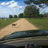 Global Wildlife Center gallery