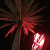 The Crab Trap, Perdido Key gallery
