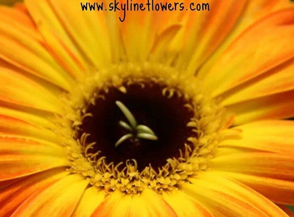 Skyline Flower Growers - Nipomo, CA