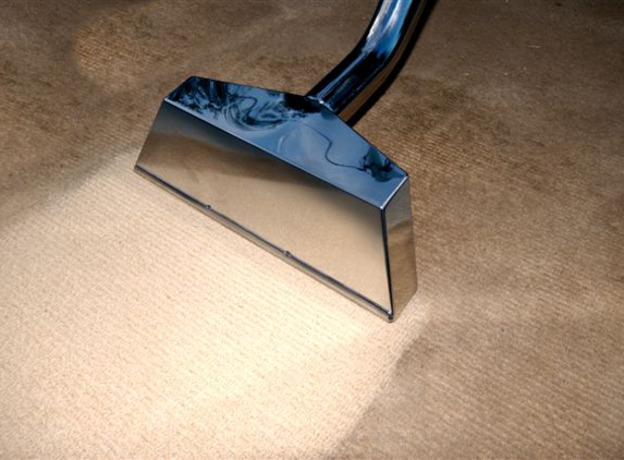 Tanin Carpet Cleaning & Water Damage, Mold Removal Arlington Hts - Arlington Heights, IL