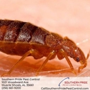 Southern Pride Pest Control - Pest Control Services