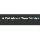 A Cut Above Tree Service - Stump Removal & Grinding