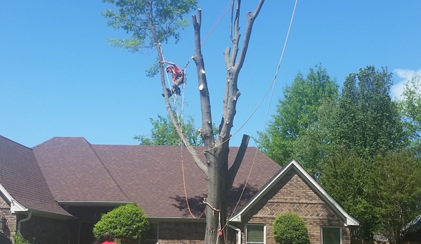 Chuck Holloway's Tree Care LLC - Drummonds, TN