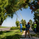 Utah Tree Co.