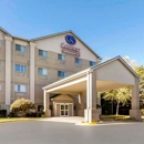 Comfort Suites Keeneland - Lodging