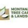 Montana Tree Care gallery