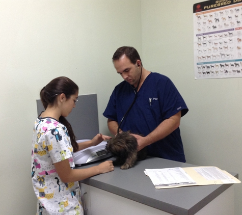 Pou Veterinary Group - Miami, FL