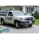 Big Blue Bug Solutions - Pest Control Services