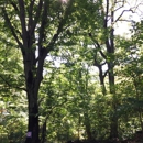 75 Prospect Park SW Tenants Corp