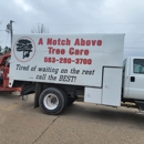 A Notch Above Tree Service - Tree Service