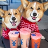 Dutch Bros Coffee gallery