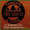 Gashi & Sons Tree Service gallery