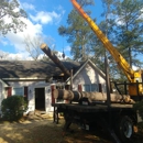 Mike's Tree Service - Arborists