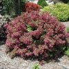 C & D Landscaping and Design, Inc gallery
