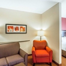 Comfort Suites Manchester near Arnold AFB - Motels