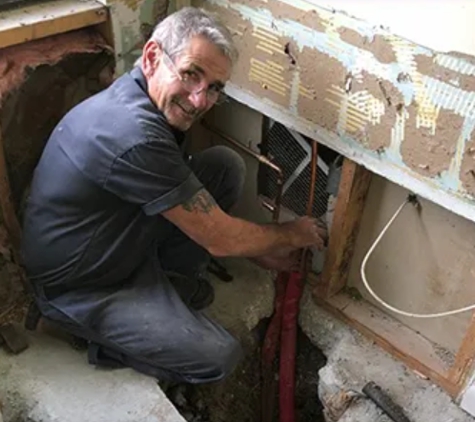 Domenic Antonelli Plumbing & Son - Palm Harbor, FL